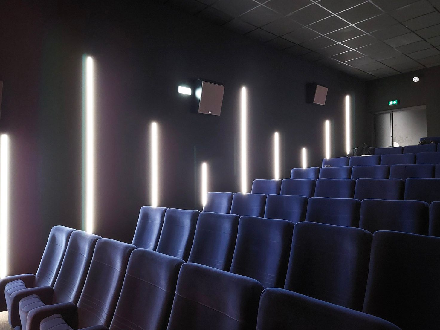 Les Cinémas du Palais
