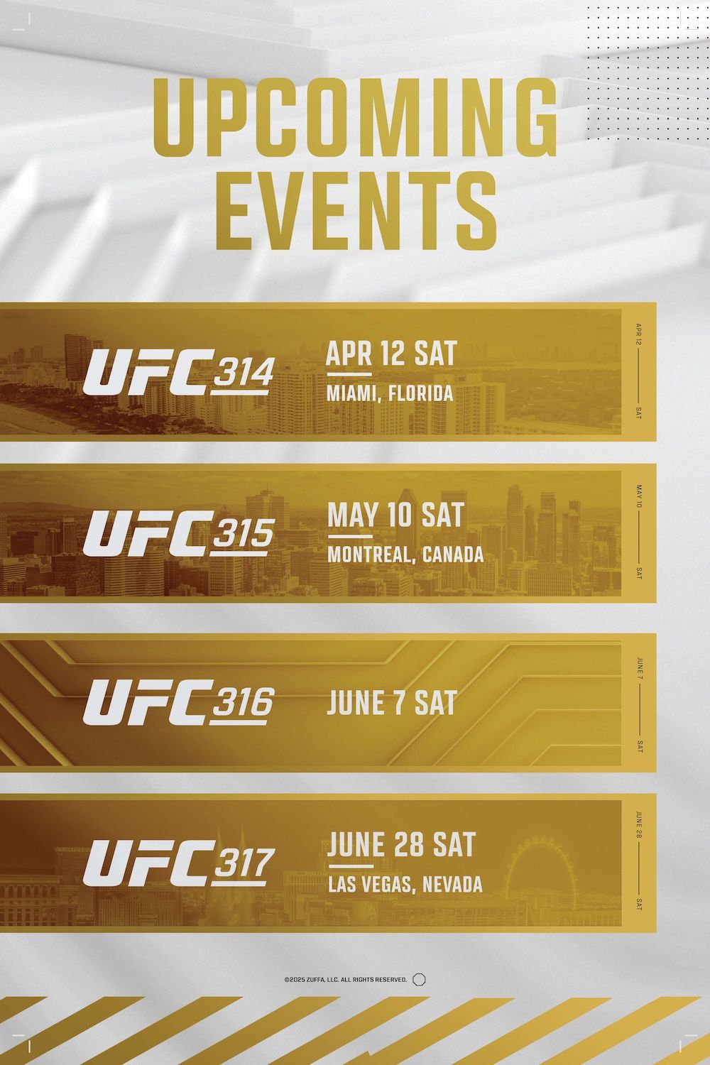 UFC 316: Dvalishvili vs. O’Malley 2