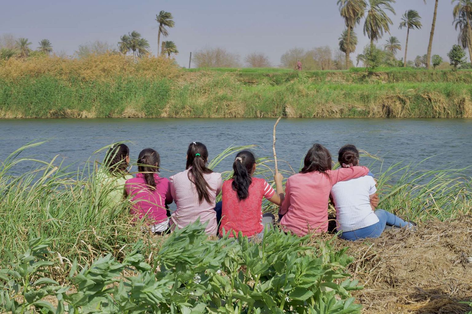 LES FILLES DU NIL | Rencontre avec les réalisateurs en visio depuis l'Egypte