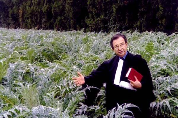 Les Glaneurs et la glaneuse