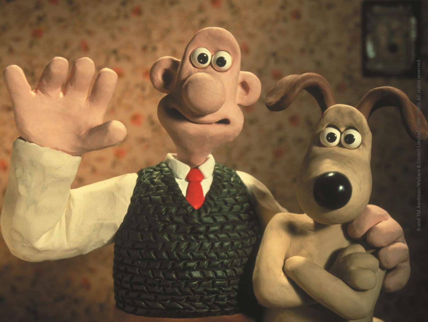 Wallace et gromit regarde le lecteur