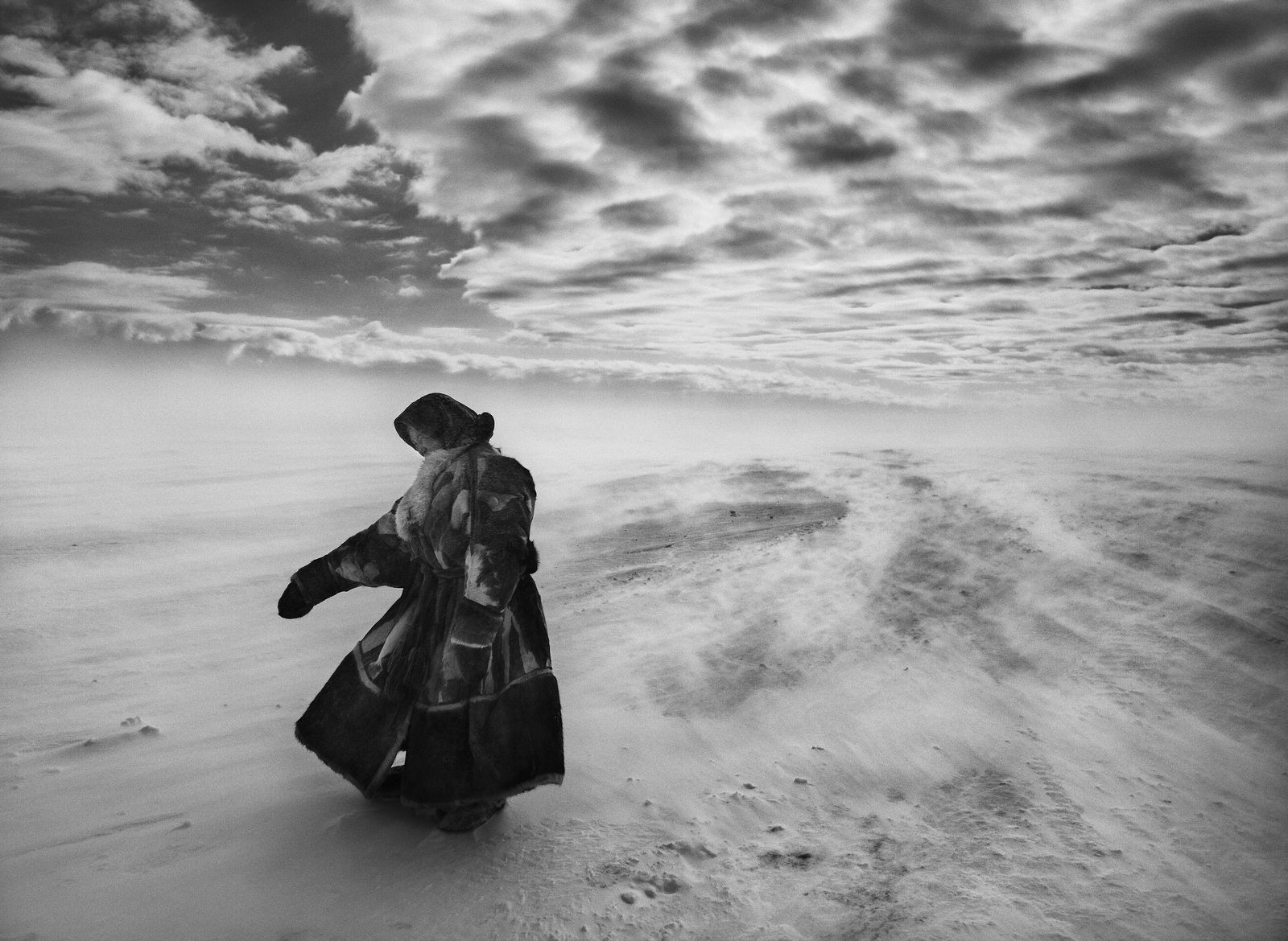 Le Sel de la terre de Wim Wenders