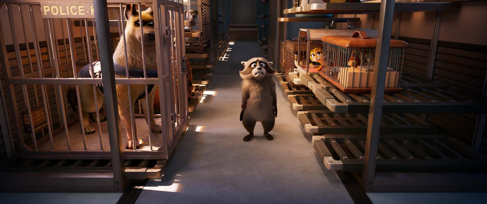 Falcon Express en avant-première !