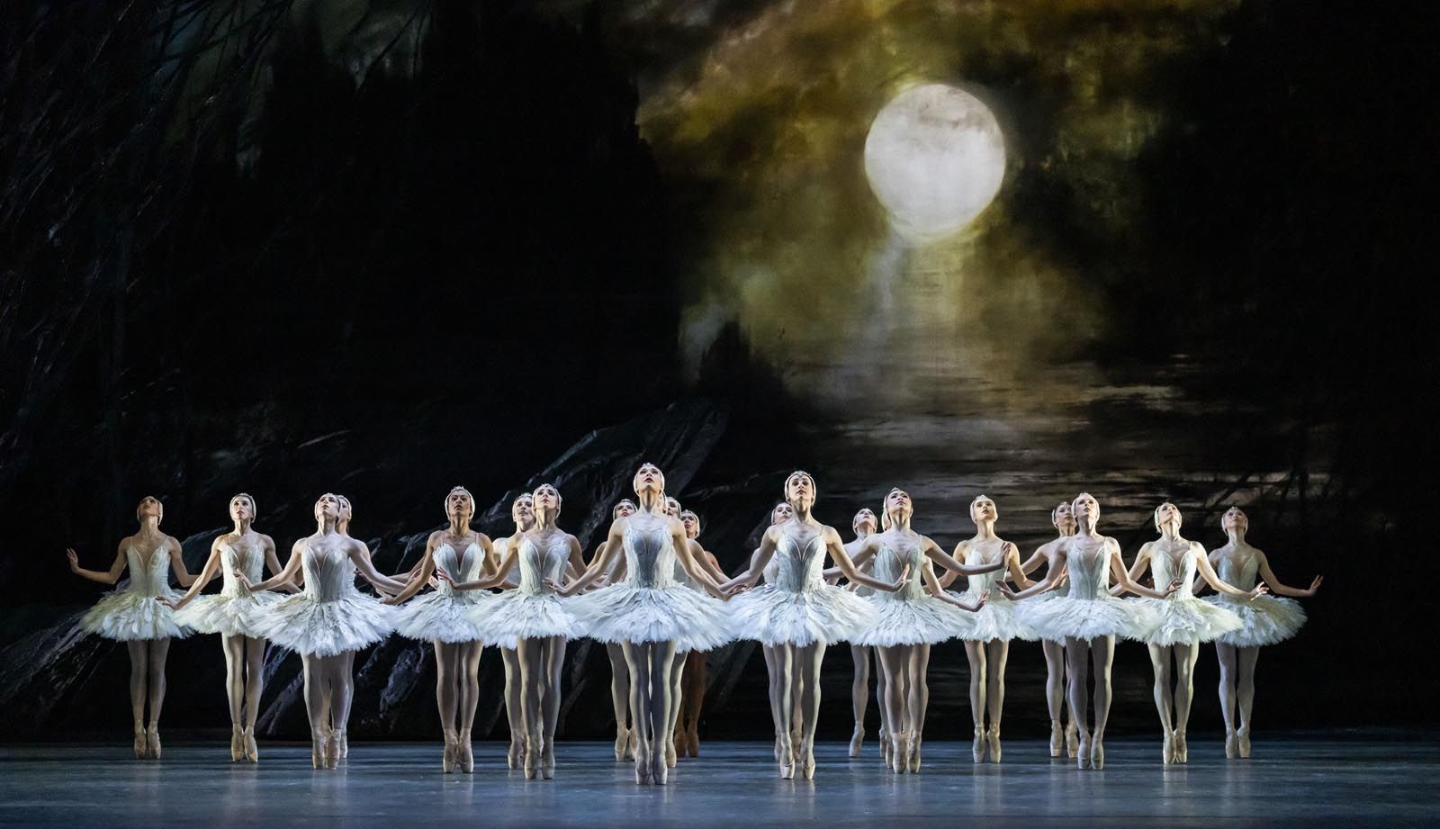 Ballet | Le Lac des Cygnes