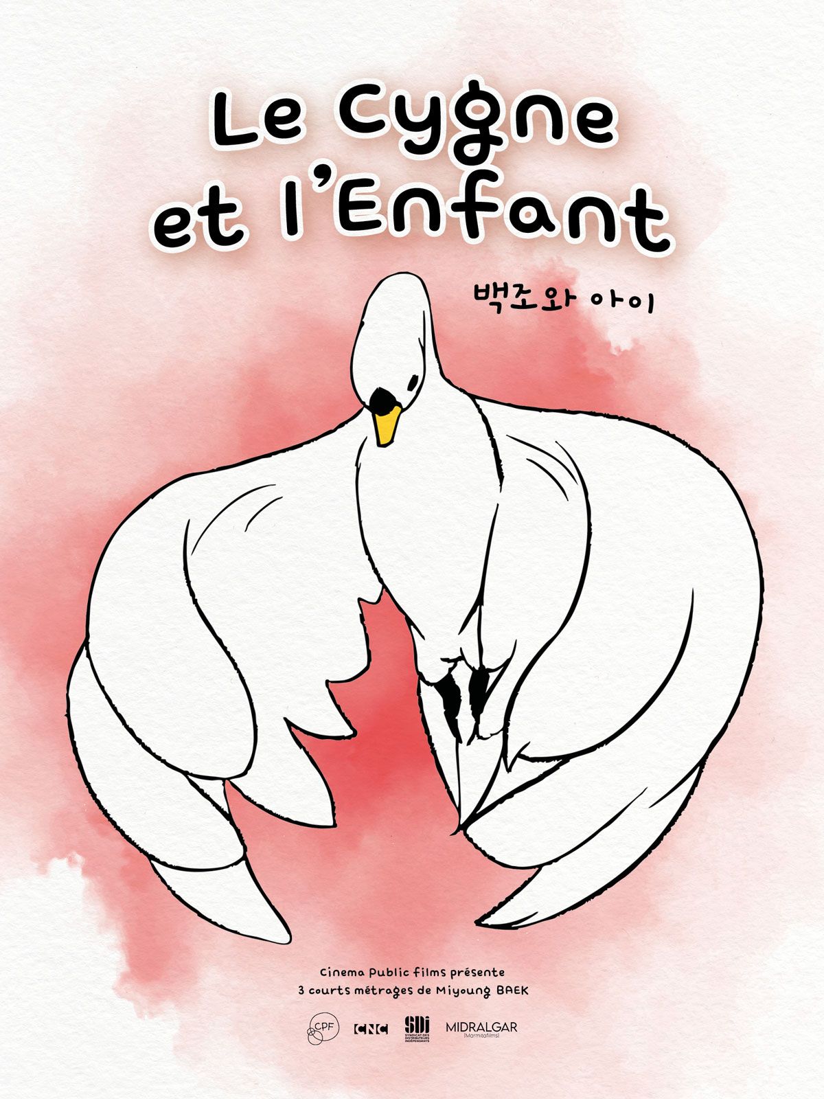 cygne
