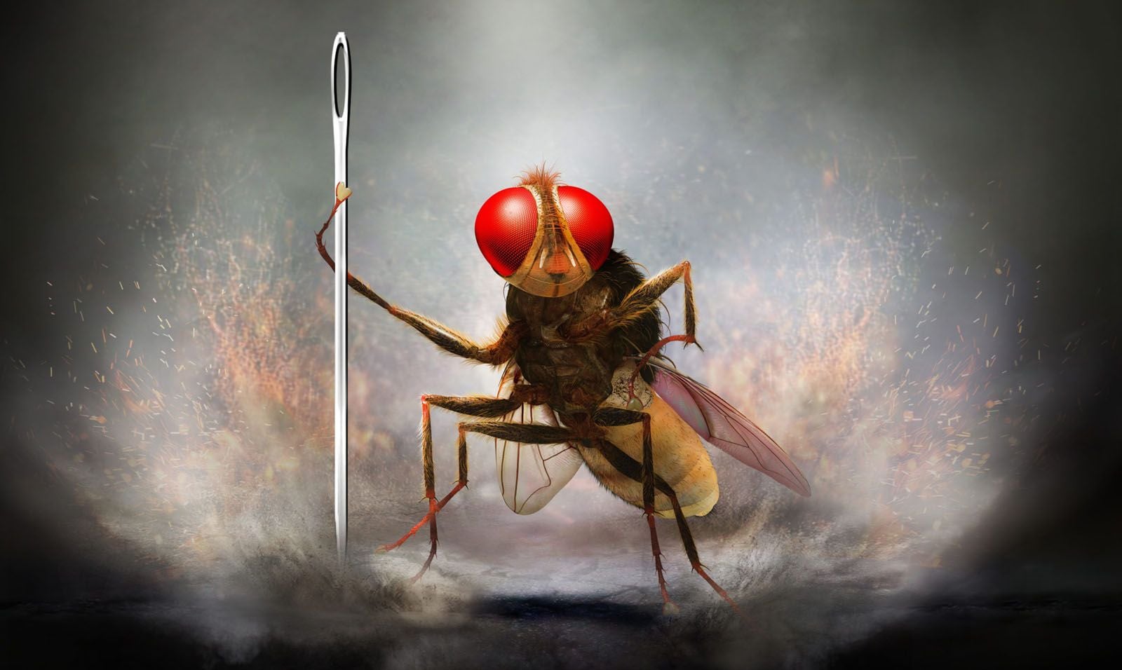 Eega, la mouche vengeresse
