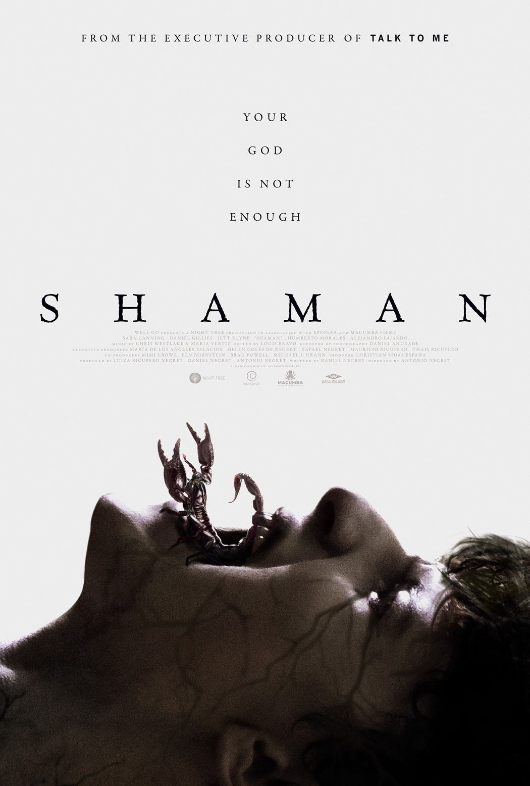Shaman (2025-I)