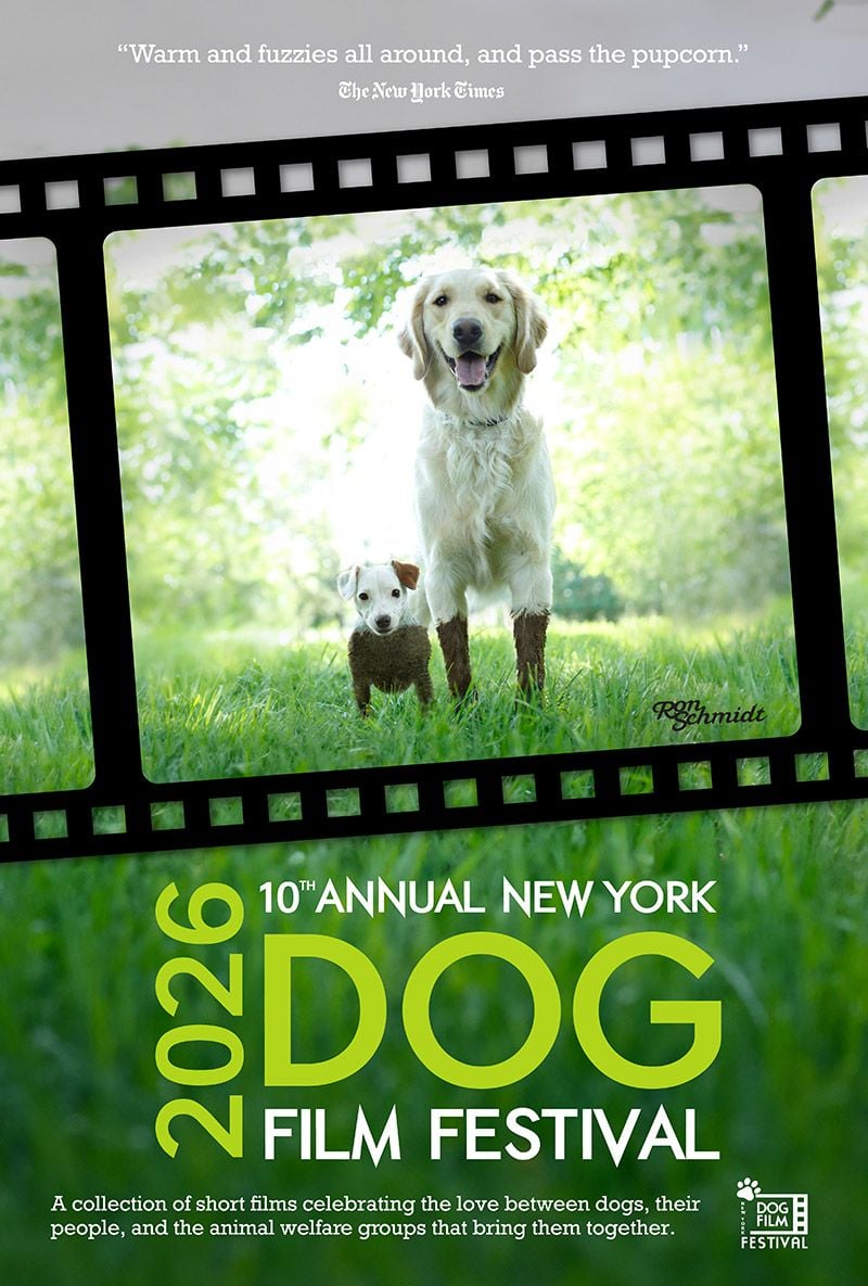 NY Dog Film Festival 2026