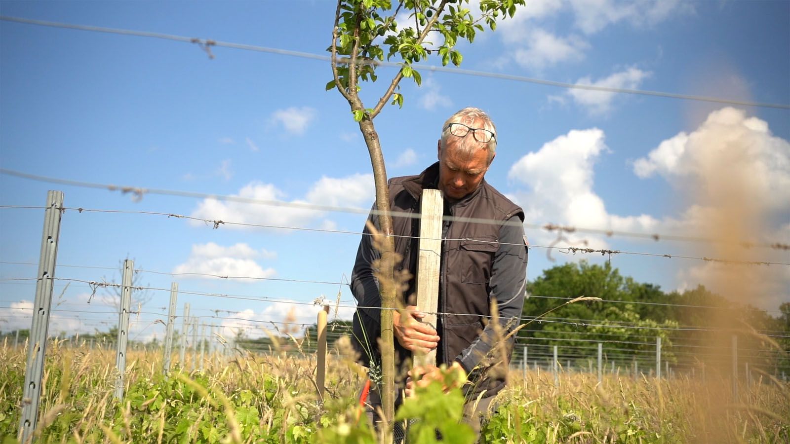 Ciné-Débat • Festival Alimenterre • Leurs Champs Du Cœur