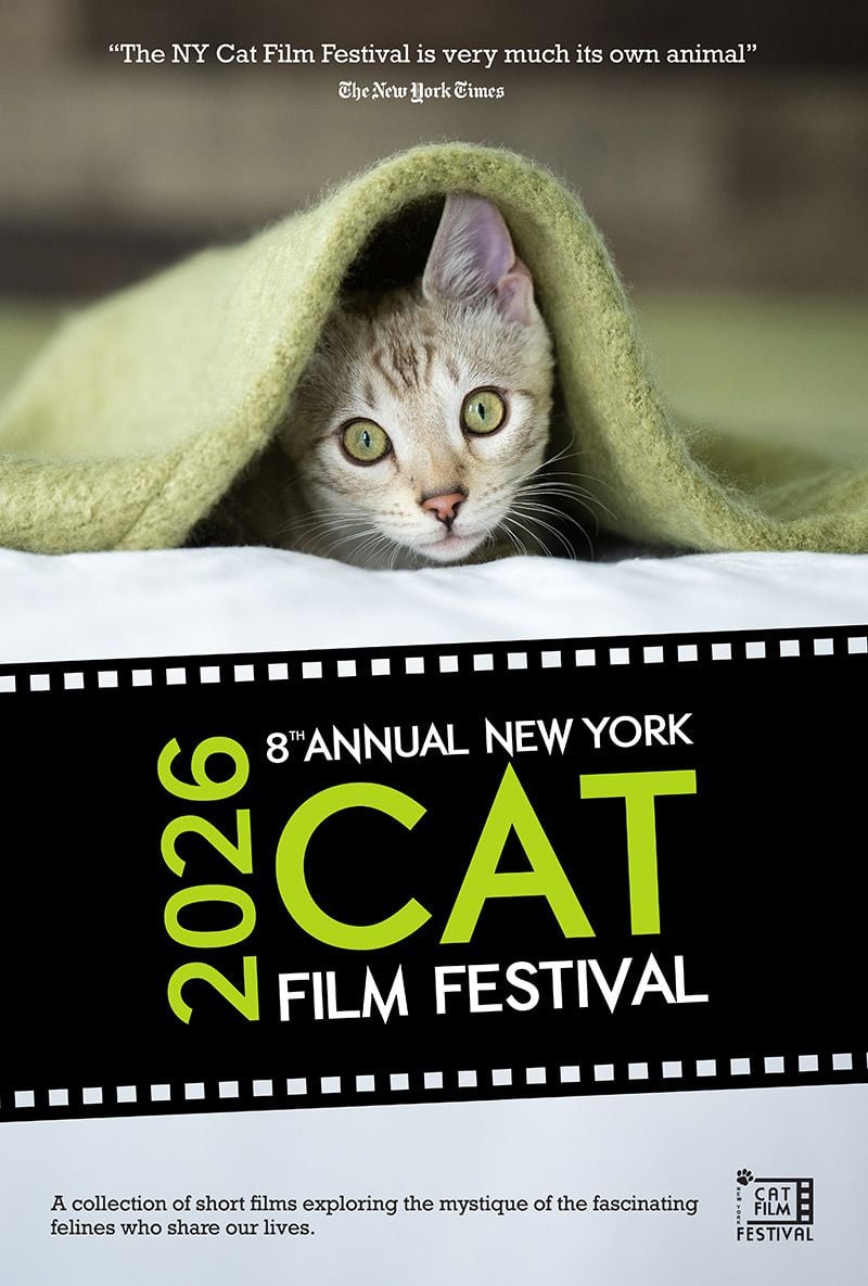 NY Cat Film Festival 2026