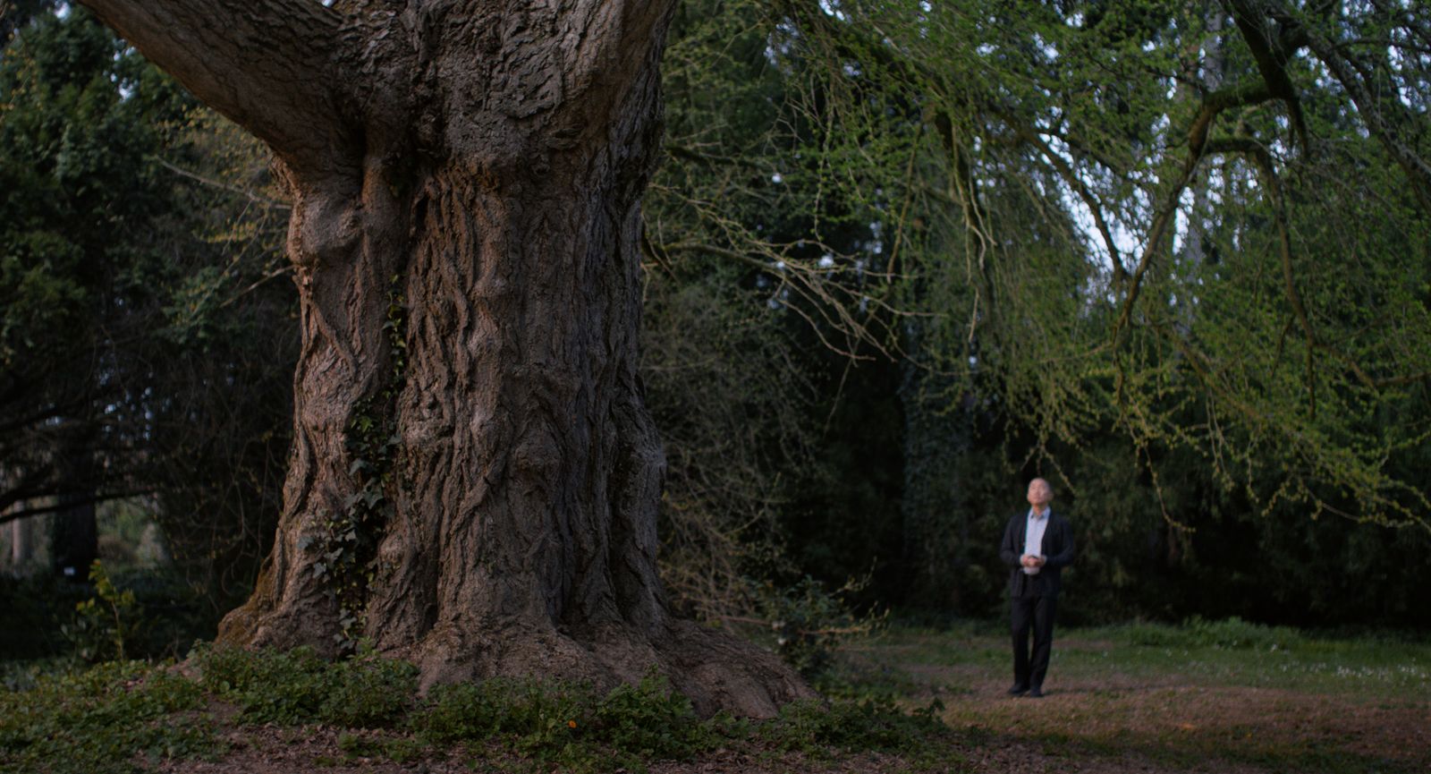 Rencontre avec Corinne Bourgery, ingénieure agronome