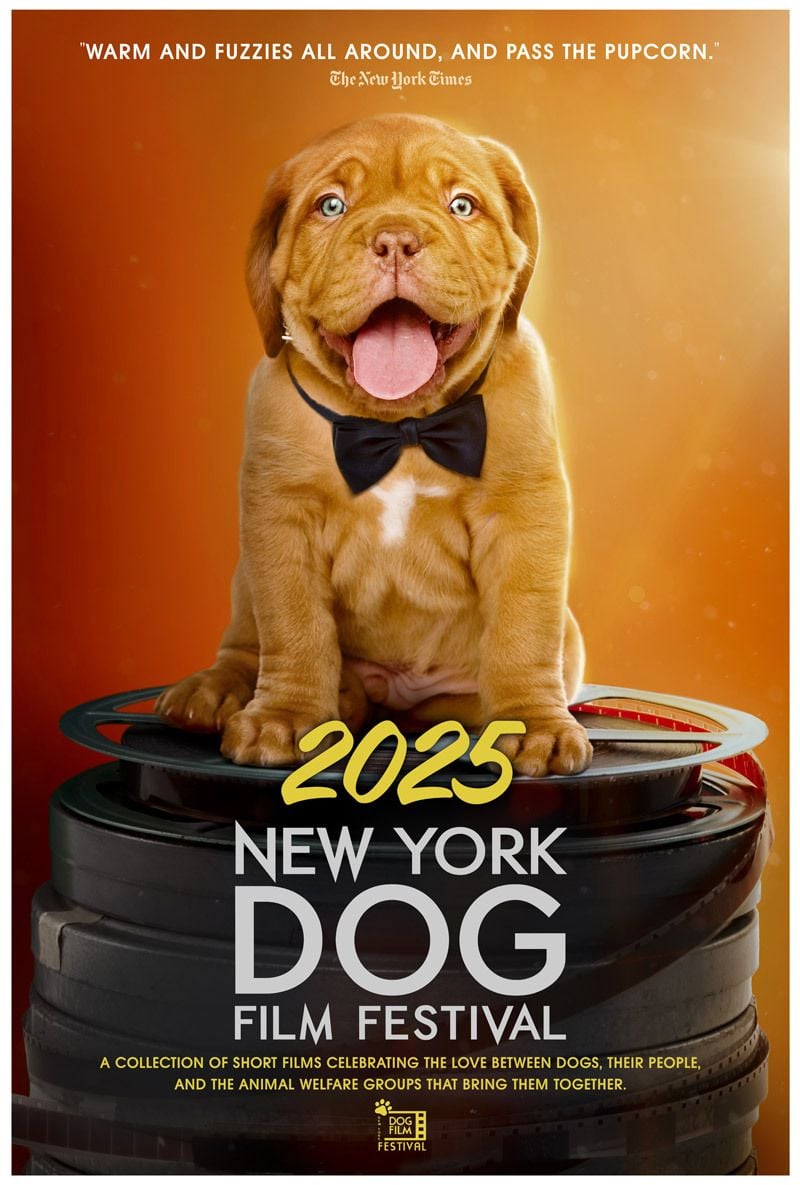 2025 NY DOG FILM FESTIVAL