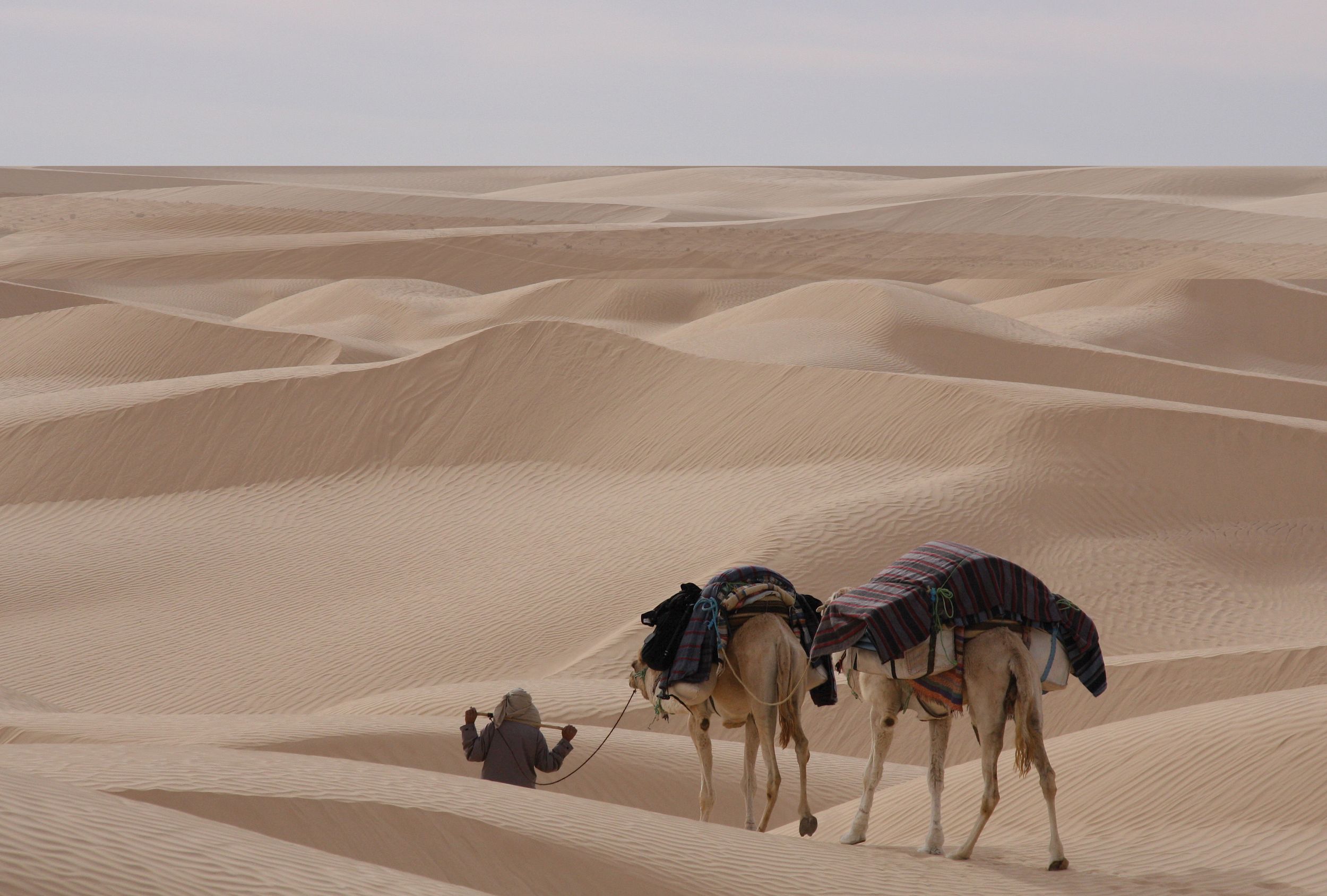 La Tunisie, entre rencontres et traditions