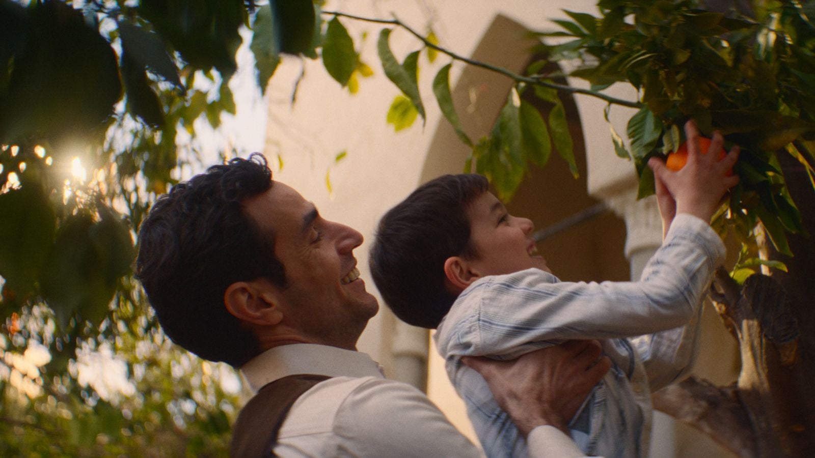 Ce qu'il reste de nous • Association Française d'Aide à la Palestine