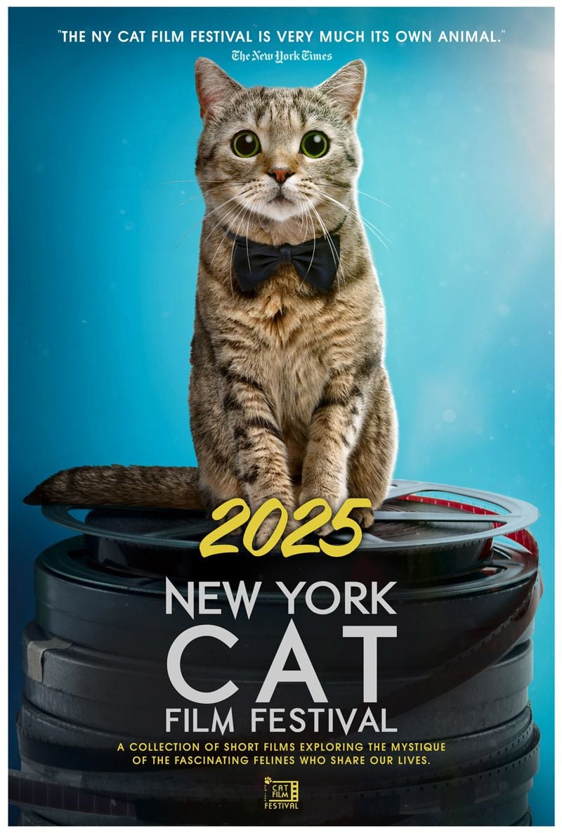 2025 NY CAT FILM FESTIVAL