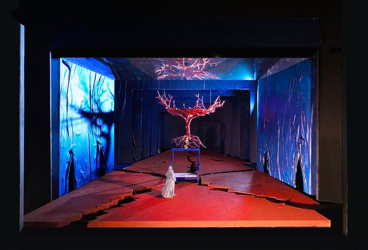 Le Dernier rêve de Frida et Diego (Metropolitan Opera)