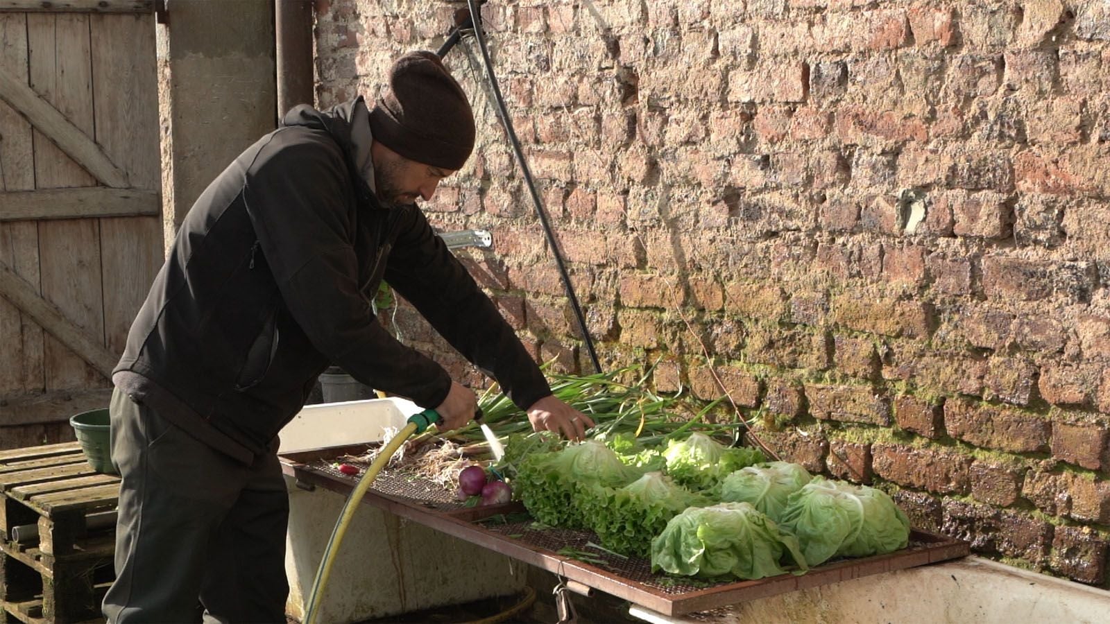 6 mai à 20h : Leurs Champs du cœur