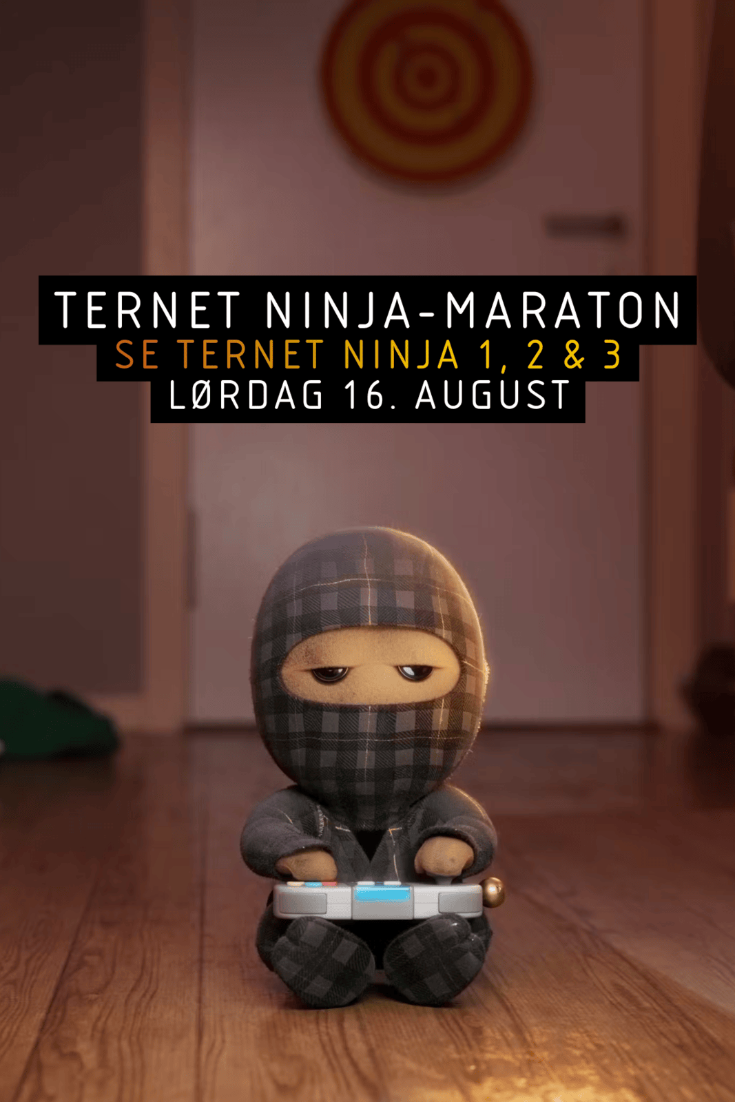 Ternet Ninja - Maraton