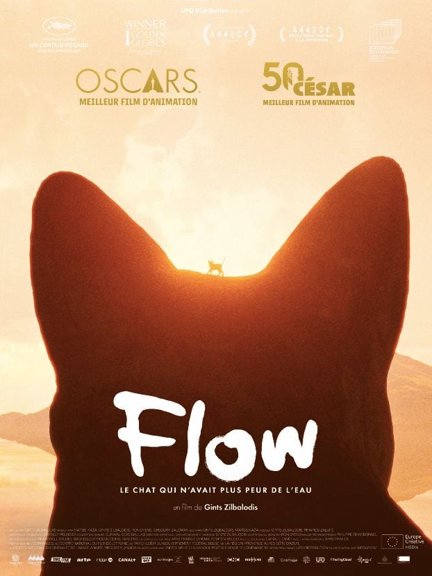 Flow, le chat qui n’avait plus peur de l’eau