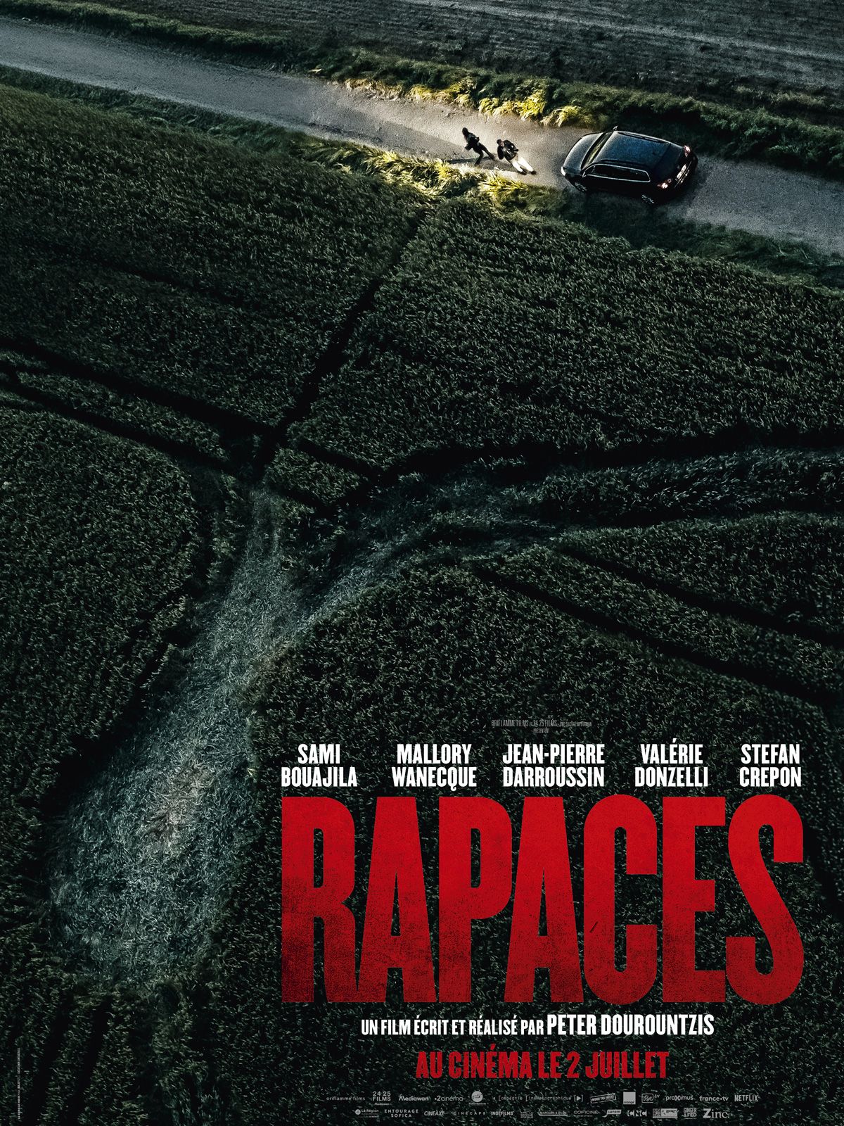 Rapaces