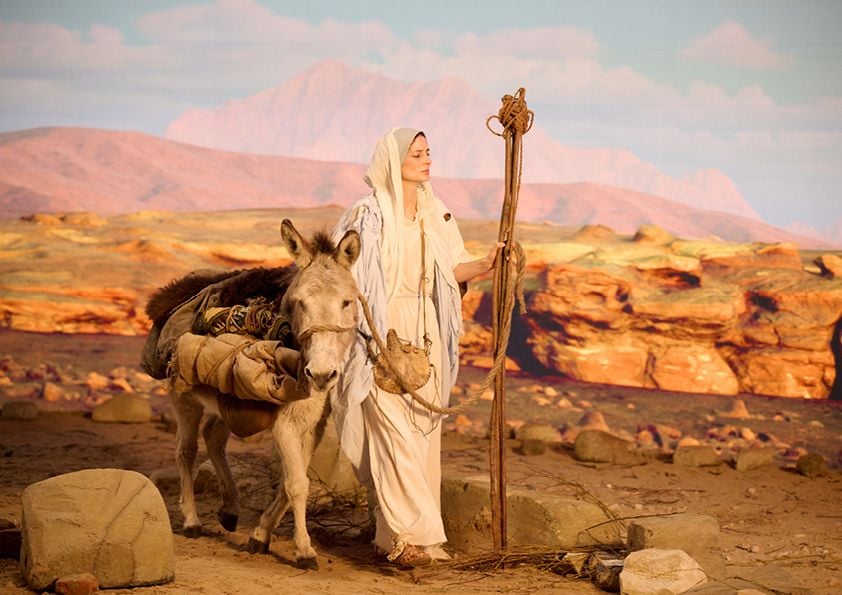 Je suis l´Immaculée Conception