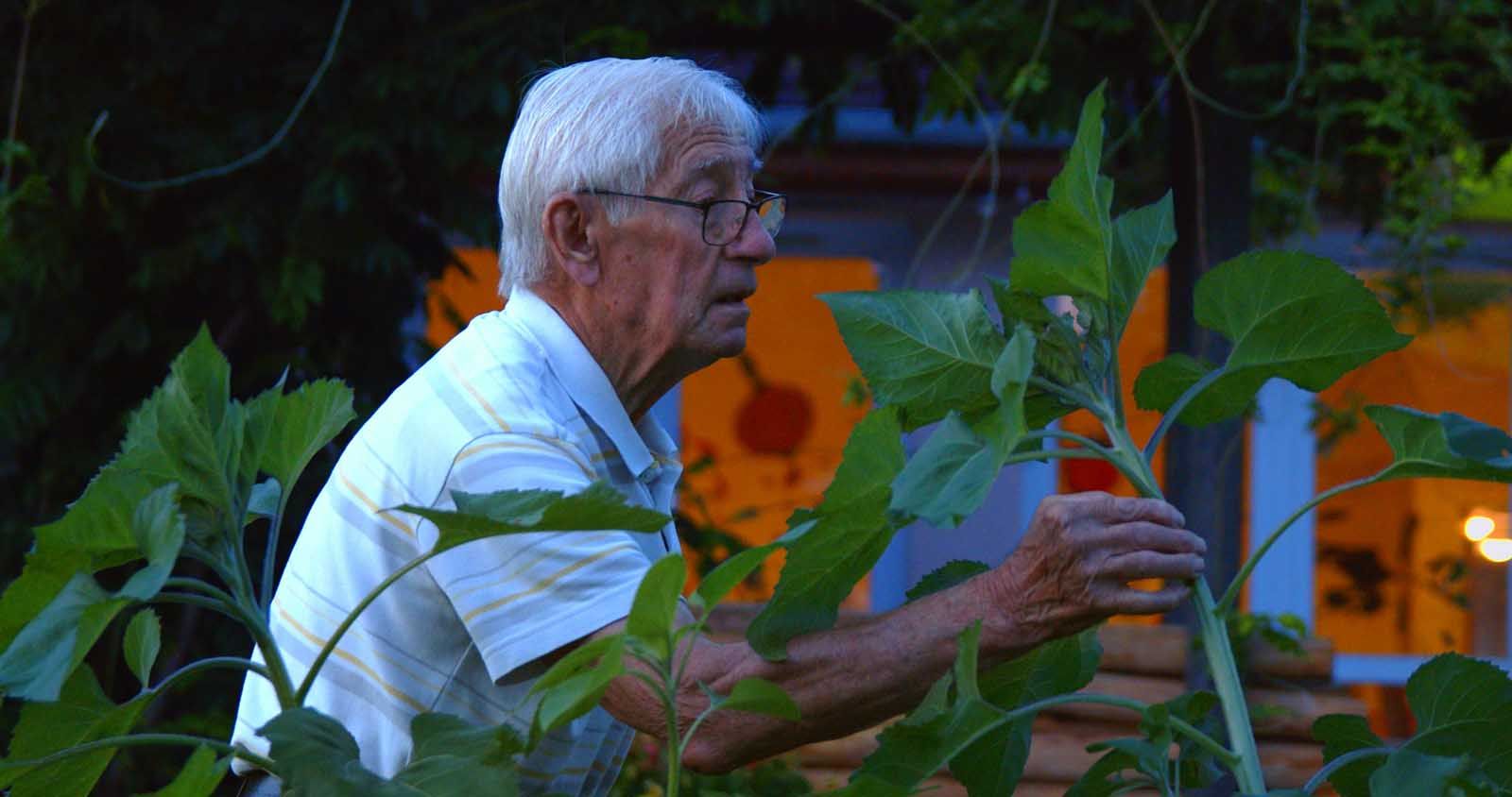 LE JARDINIER DE CES DAMES