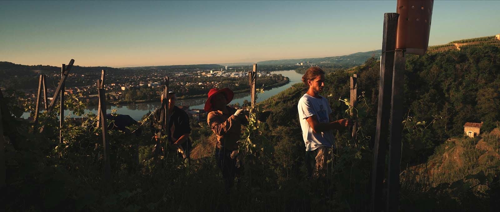 LES CHAILLÉES DE L'ENFER | Rencontre avec le réalisateur et deux femmes vigneronnes