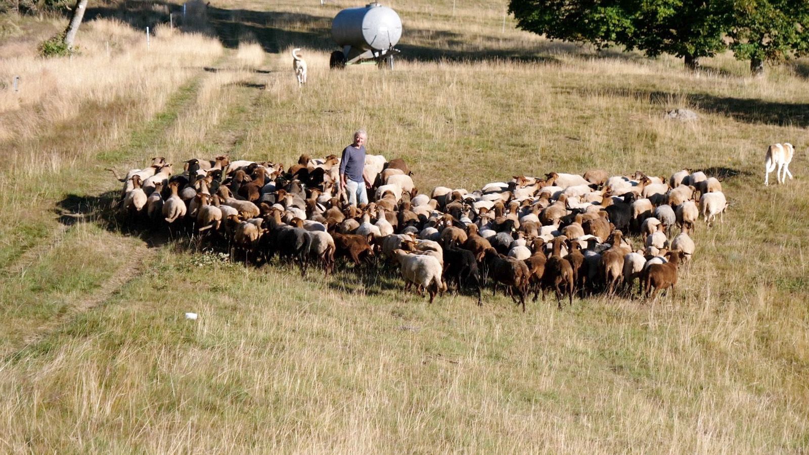 Festival Alimenterre
