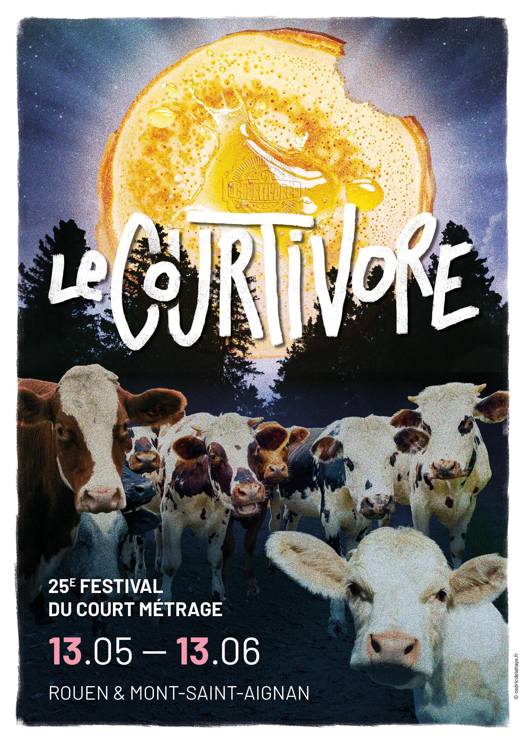 Courtivore - La finale