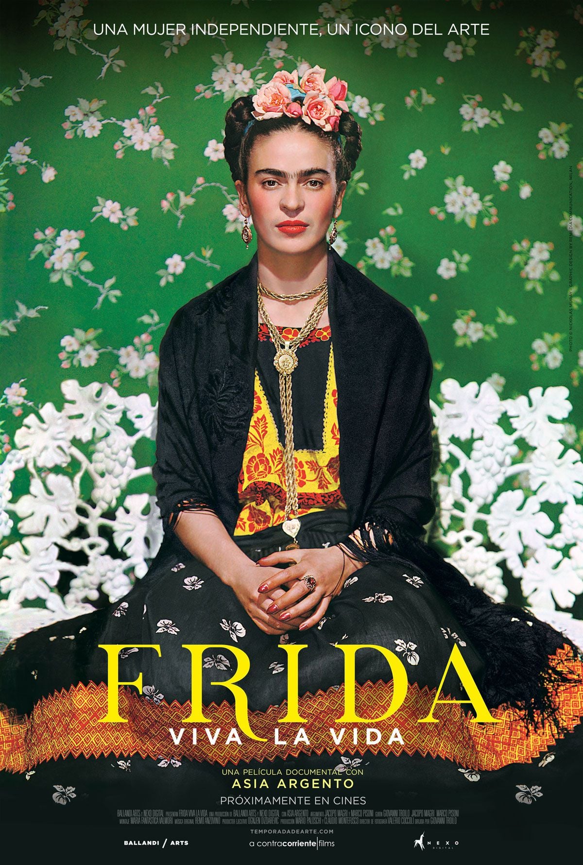 Ciné-Conférence UNIPOP • FRIDA VIVA LA VIDA