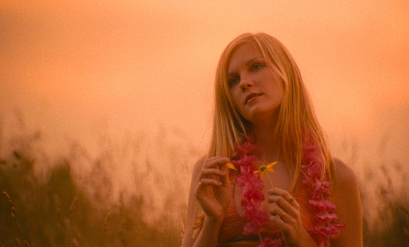 Virgin suicides