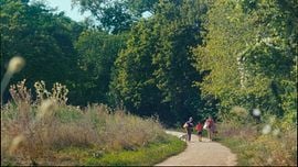 Le Rendez-vous de l'été