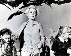 Les Oiseaux
