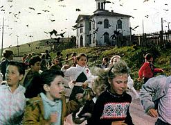 Les Oiseaux