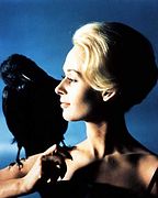 Les Oiseaux