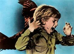 Les Oiseaux