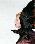 Les Oiseaux
