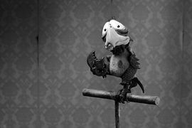 Mary et Max.