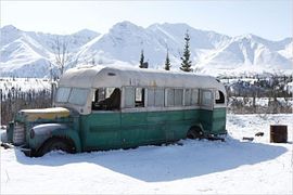 Into the Wild