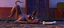 Coco