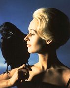 Les Oiseaux