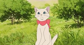 Le Royaume des chats