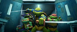 Ninja Turtles: Teenage Years