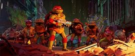 Ninja Turtles: Teenage Years