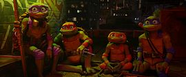 Ninja Turtles: Teenage Years