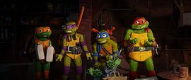 Ninja Turtles: Teenage Years
