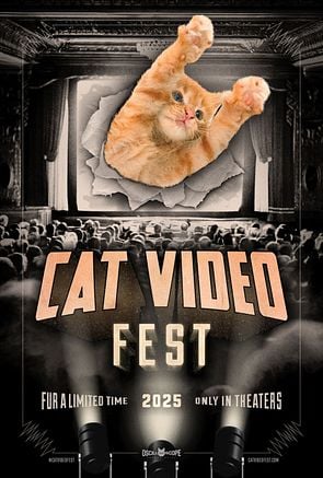 CatVideoFest 25
