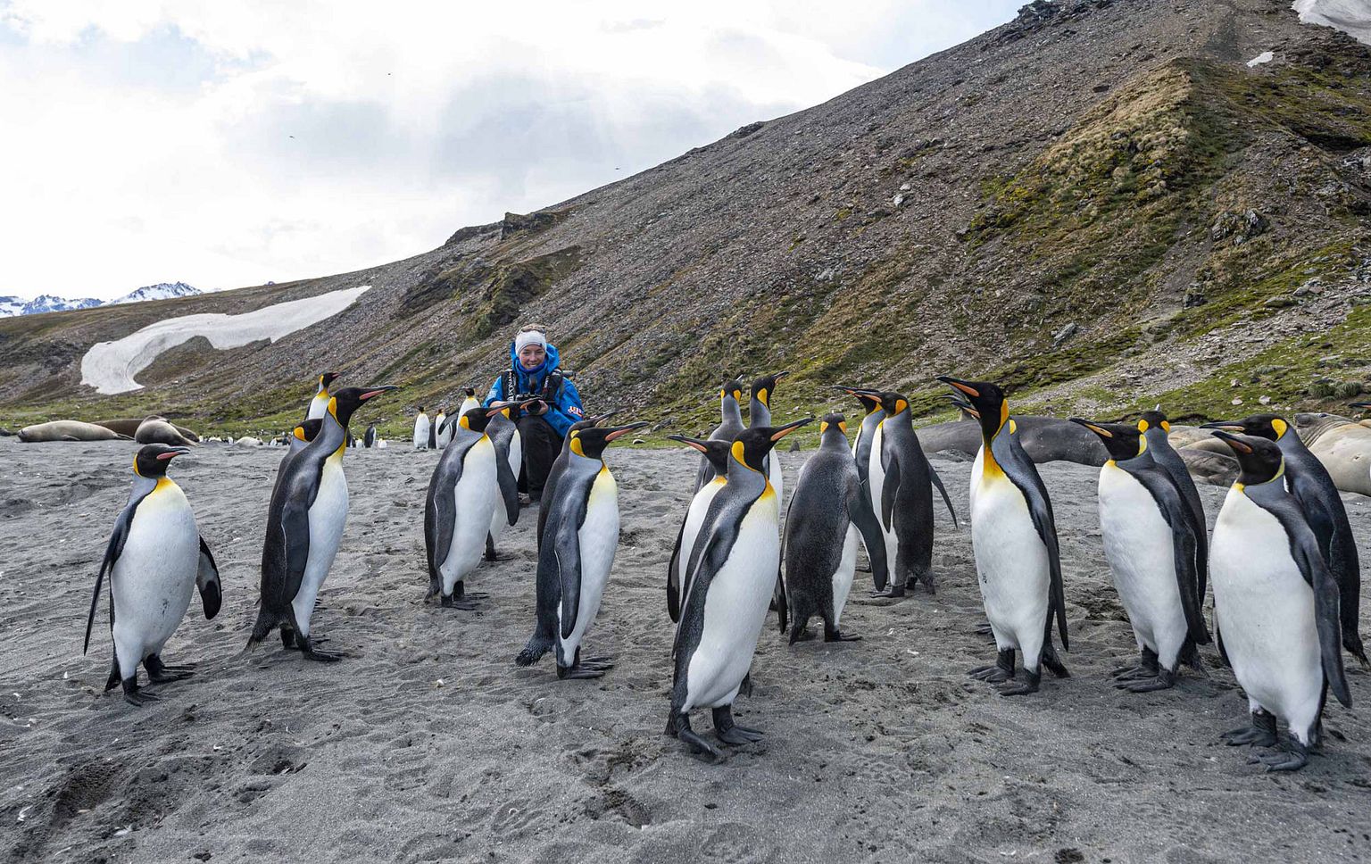 Connaissance du monde : L&rsquo;Antarctique - Aux confins de la plan&egrave;te